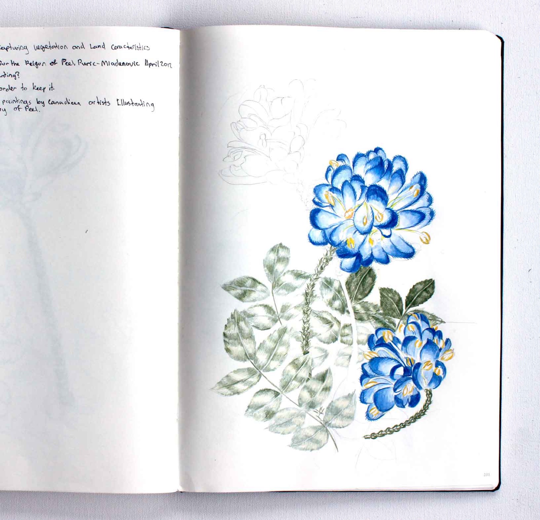 atlas of nowhere