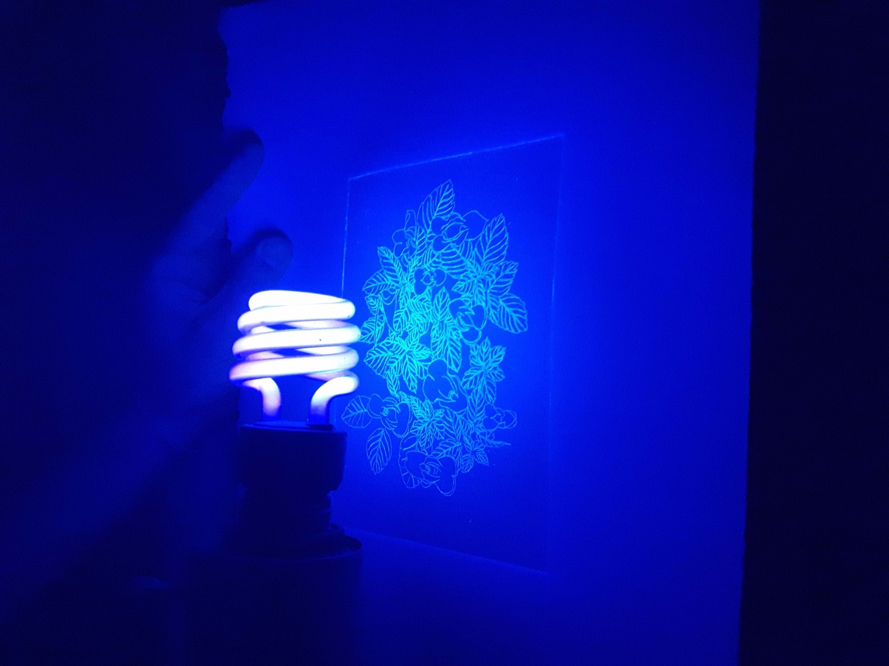 pollinate/illuminate