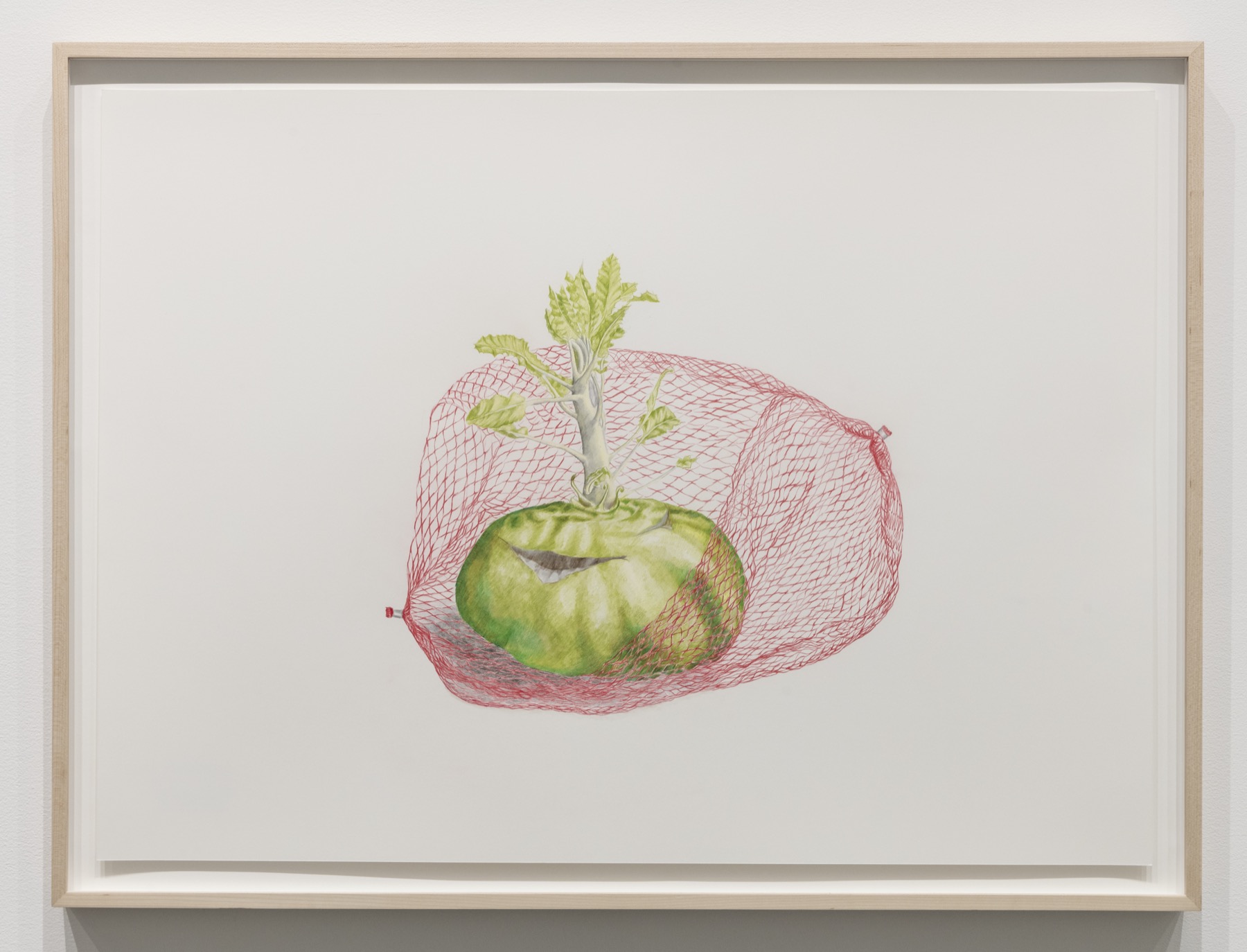 still life with packaging